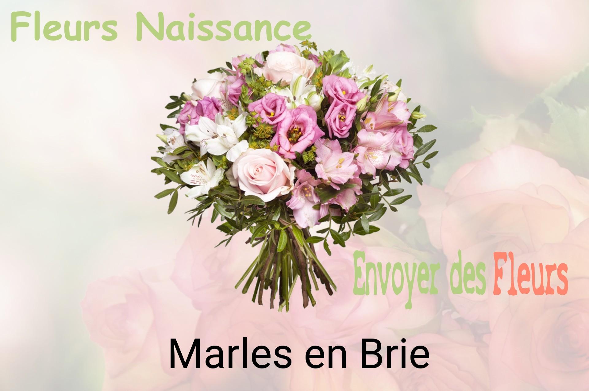 Bouquet de fleurs de naissance livré à Marles-en-Brie